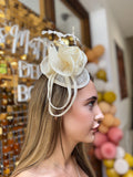 Cream rose detail disc fascinator