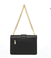 Danna gold chain or Cross body hand bag - 4 colours